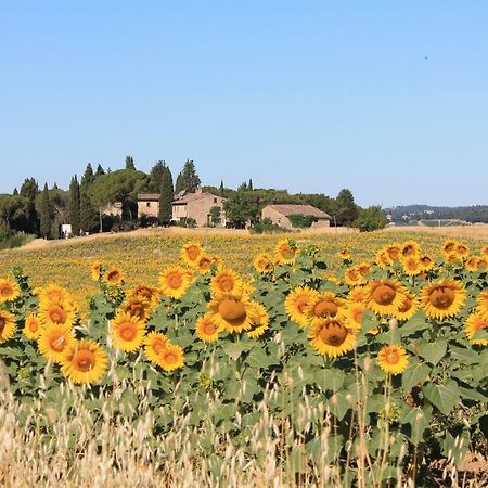 Il Poggio B&B Ginestra Fiorentina Kültér fotó