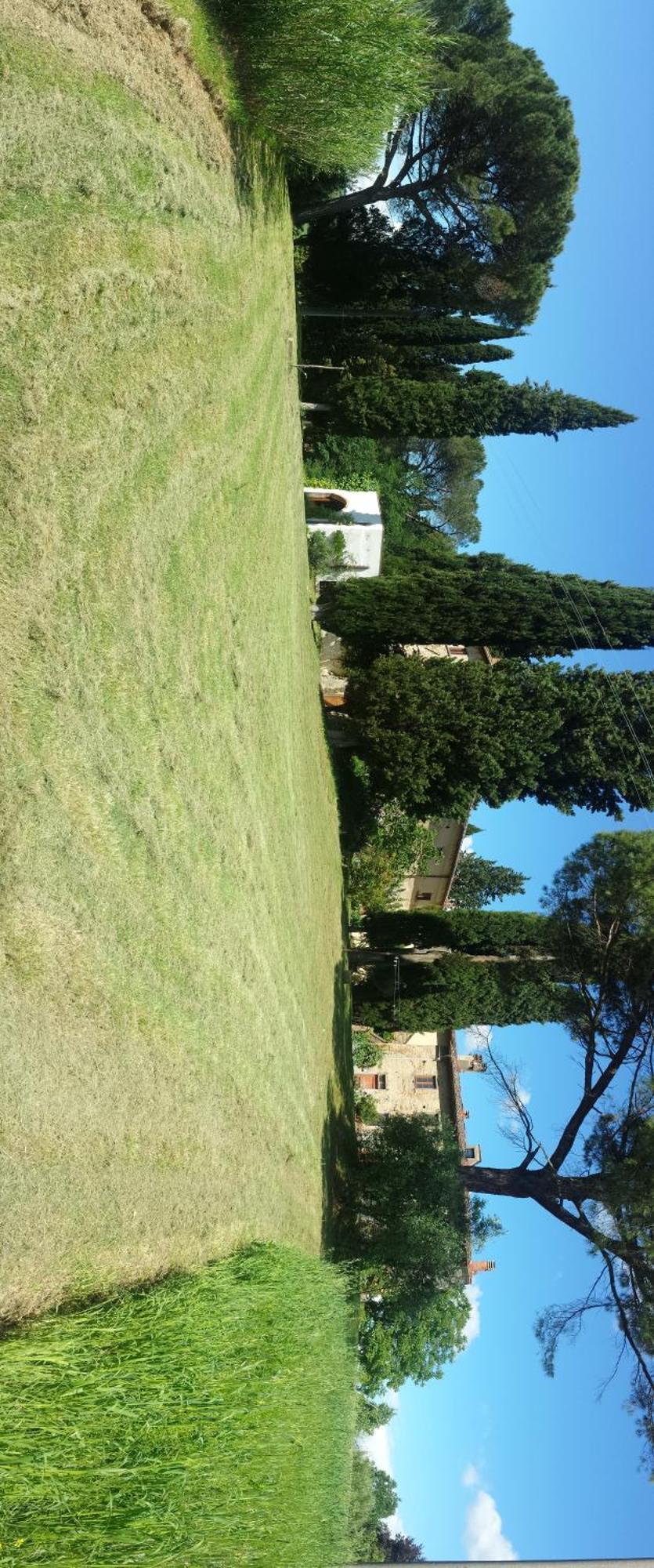 Il Poggio B&B Ginestra Fiorentina Kültér fotó